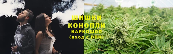 круглые Аркадак