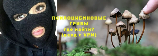 дурь Арсеньев
