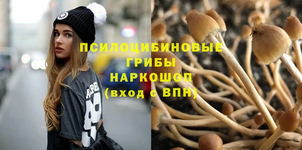 дурь Арсеньев